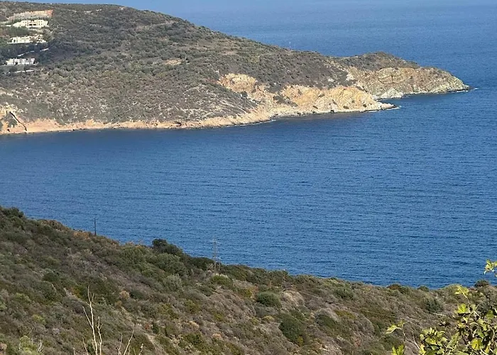 Σπίτι διακοπών Papous House